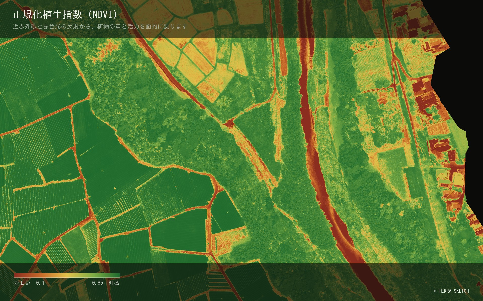 正規化植生指数(NDVI)の地図